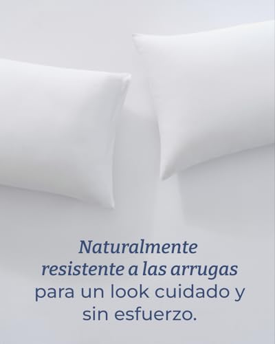 Jersey Fitted Sheet Cotton 180 x 200 cm White + 2 Pillowcases 80 x 80 cm – Pack of 3 – 100% Cotton – Terry 40 cm / 16 Inches – Soft, Wrinkle and Hypoallergenic – Oeko-Tex Standard 100 Certified