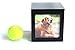 Heavenly Home Pet Keepsake Multiple Photo Cube Pet Urn for 1 to 4 Pictures Cremation Memorial for Pet Lovers Acrylic Glass Photo Protector Resting Place for Cat or Dog (90 Cubic Inches)