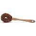 GOHIDE Clearing Brush by Natural Coconut Plant Fiber Beechwood Antislip Handle