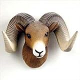 Big Horn Sheep Magnet