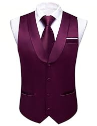 Barry.Wang Mens Dark Purple Vest Formal/Leisure