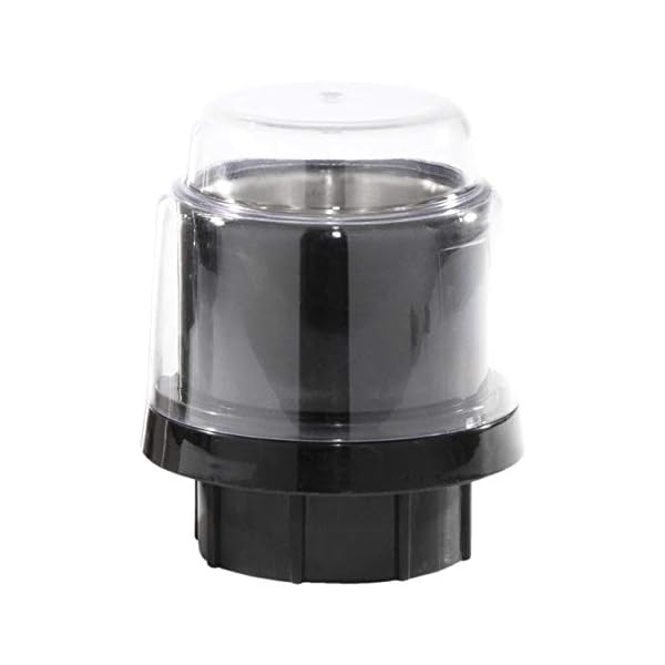 Daewoo Stainless Steel Smoothie & Shake Jug Blender | 1.5L Glass Jug | 2 Speed Settings & Pulse | Non-Slip Feet…