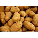 POTATOES RUSSET FRESH PRODUCE 10 LBS