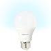 Amazon Basics 40 Watt Equivalent, Daylight, Dimmable, 15,000 Hour Lifetime, A19 LED Light Bulb | 6-Pack