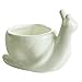 GeLive Ceramic Succulent Planter, White Snail Plant Pot with Drainage Hole, Animal Bonsai Holder Window Box for Cactus, Succulent Plants Home Office Garden Flower Pot Gifts for Plants Lover