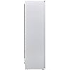 Hisense RIL391D4AW1 172x54cm 301L In-column Integrated Larder Fridge