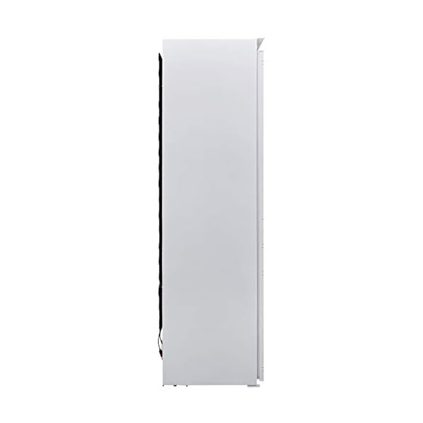 Hisense RIL391D4AW1 172x54cm 301L In-column Integrated Larder Fridge