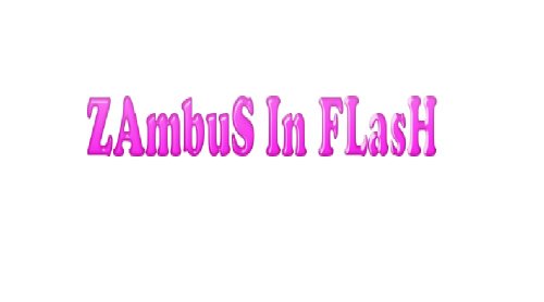 Zambus News Flash Promi (Zambus Promiflash Top 10 jeden Tag NEU!) (German Edition)
