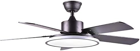 RXUNA Modern Low Profile Fan Light, Dimmable Double-Sided Fan Blade Ceiling Fan Light Summer Winter Run Ceiling Fan Lamp-Black A 46inch [Energy Class A]