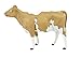 Safari Ltd. | Guernsey Cow | Safari Farm Collection | Toy Figurines for Boys & Girls