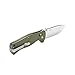 GANZO Firebird F720 Pocket Folding Bowie Knife 440C Stainless Steel Blade G-10 Handle with Clip Hunting Fishing Camping Outdoor EDC Knife (Green) with Gift - Multi-Tool Card 8-in-1