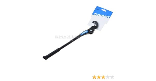 giant roam 2 kickstand