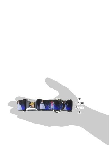 Buckle-Down DC-WDY019-S DYW Cinderella CLOSE Dog Collar, Small/9-15"