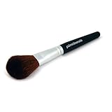 Pur Minerals Powder Brush