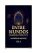 Livro Entre Mundos : Teomística Narrativa Vol. III