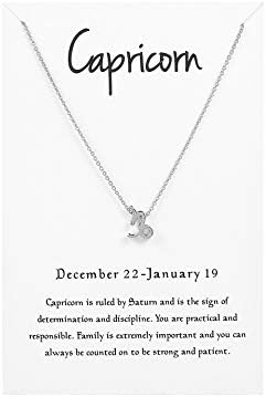 12 Constellation Pendant Necklace Zodiac Sign Astrology Silver Tone Chain Message Card Women Jewelry
