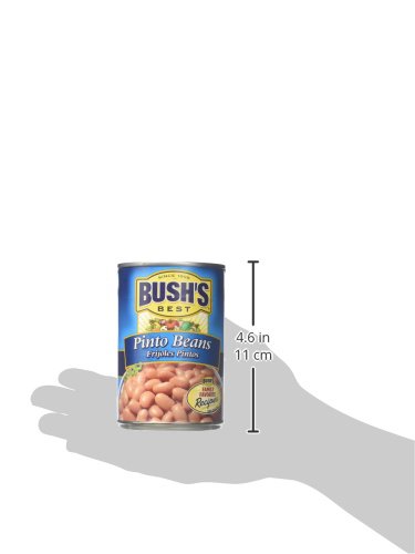 BUSH’S BEST PINTO BEANS, 16 OUNCE CAN, CANNED BEANS, PINTO BEANS CANNED, SOURCE OF PLANT BASED PROTEIN AND FIBER, LOW FAT, GLUTEN FREE, FOR SOUPS, SALADS AND MORE