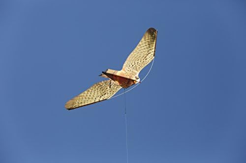 Espantapájaros EOLO HALCÓN profesional (Incluye mástil Telescópico ...