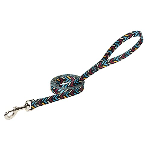 Weaver Pet - Single-ply Webbing - Patterned Leash for Dog