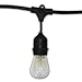String Light Company Vintage 48-Ft Outdoor Commercial String Lights with 24 Suspended Sockets and 24 Clear S14 Bulbs, 16 Gauge Black Cord