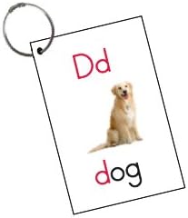 Ring Cards Phonics and Sight Words Ring Flash Cards