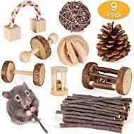 B Bascolor 9 PCs Dog Chew Toys Playing Teething Toy Natural Wooden Chewing
