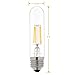 Led Filament Bulb Tubular Retro Vintage Edison T10 Style, Dimmable, E26 Medium Base, Warm Color Light, 450 Lumens, 40 Watt Incandescent Equivalent (Clear Color Glass, 4 Watt, Pack of 3)