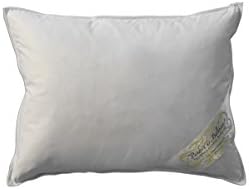 Pandora de Balthazar Boudoir Travel Airplane Pillow Hungarian Goose Down Insert Machine Washable, 14"H x 19"L
