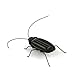 eFashion Solar Power Energy Cockroach Fun Gadget Office School