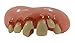 Billy-Bob Teeth, Inc. Mens Big Cletus with Cavity One Size Fits Most Off-White