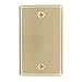 Leviton 81014 1-Gang No Device Blank Wallplate, Standard Size, Box Mount, Brass