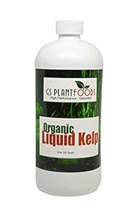 Amazon.com: Liquid Kelp Extract Seaweed 32 Ounce Fertilizer Concentrate