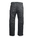 The North Face Men’s Freedom Insulated Pant