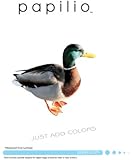 paper sticker neato vinyl Vinyl Decal Papilio 10 Paper : Inkjet White Amazon.com