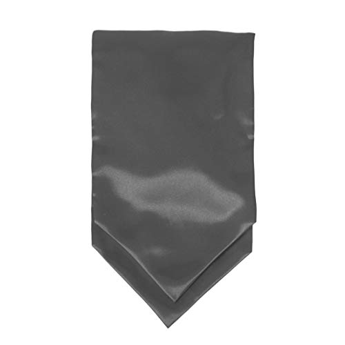 Grey Ascot Cravat Tie For Men Satin Solid Smart Neckerchief Handkerchief For Travel Yong Boy Dan Smith C.C.AQ.C.013 Dim Grey