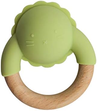 non toxic wooden baby toys