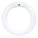 Luxrite LR20575 (6-Pack) FC8T9/D 22-Watt 8 INCH T9 Fluorescent Circular Light Bulb, Daylight 6500K, 980 Lumens, G10Q 4-Pin Base