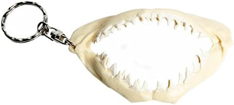 Shark Teeth Keychain