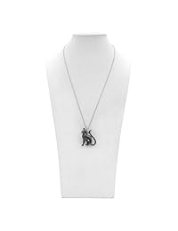 Collar de gato controso   huesos ferales   collar de acero inoxidable tono plata de 28.0 in por