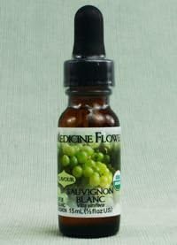 Flavor Extract Premium Natural Grape Sauvignon Blanc for Culinary Use By Medicine Flower
