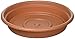 Bloem SDC12-46 Dura Cotta Plant Saucer, 12-Inch, Terra Cotta