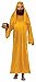 Forum Novelties Men's Value Biblical Robe, Gold, Standard