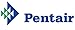 Pentair 070387 Strainer Basket, Plastic