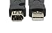 Firewire Ieee 1394 6 Pin Female F to USB 1.1/2.0 M Male Adaptor Converter Make Plug and Play Connections Your Computer Color Black
