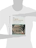 Image de The Roman Amphitheatre: From its Origins to the Colosseum