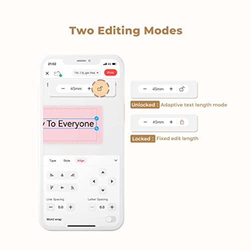 NIIMBOT H1S Label Maker Machine with Tape, 0.47