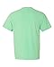 Comfort Colors Adult Heavyweight RS Pocket T-Shirt 2XL ISLAND REEF