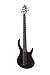 ivy IBA-500 Bass Solid-Body Electric Guitar, Trans Red