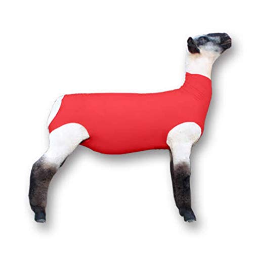 Show Pro Red Spandex Lamb Tube for Show Sheep & Lamb Show Livestock