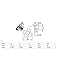 50Pcs 4 Prongs Zinc Plated T-Nut Tee Nut 1/4